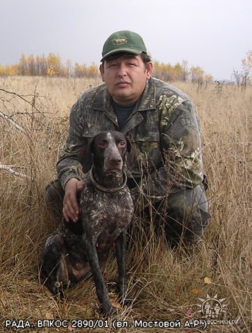 Курцхаар, РАДА, ID по базе HuntDogs.Ru: 1019