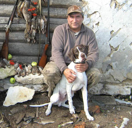 Английский пойнтер, Зак, ID по базе HuntDogs.Ru: 1264