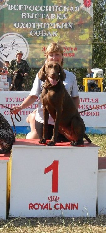 Курцхаар, Кэри, ID по базе HuntDogs.Ru: 2569