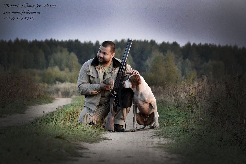 Английский пойнтер, IKILADNAS BOTSVANA, ID по базе HuntDogs.Ru: 2567