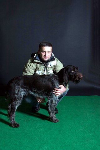 Дратхаар, Ayza von Reihoff, ID по базе HuntDogs.Ru: 3336