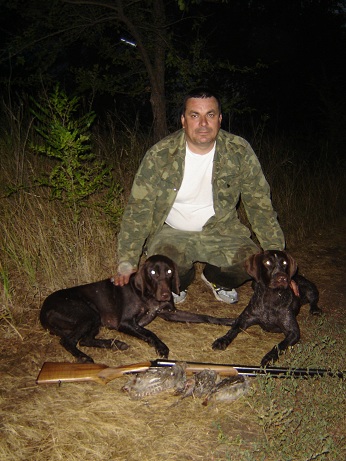 Курцхаар, Еврона, ID по базе HuntDogs.Ru: 41382