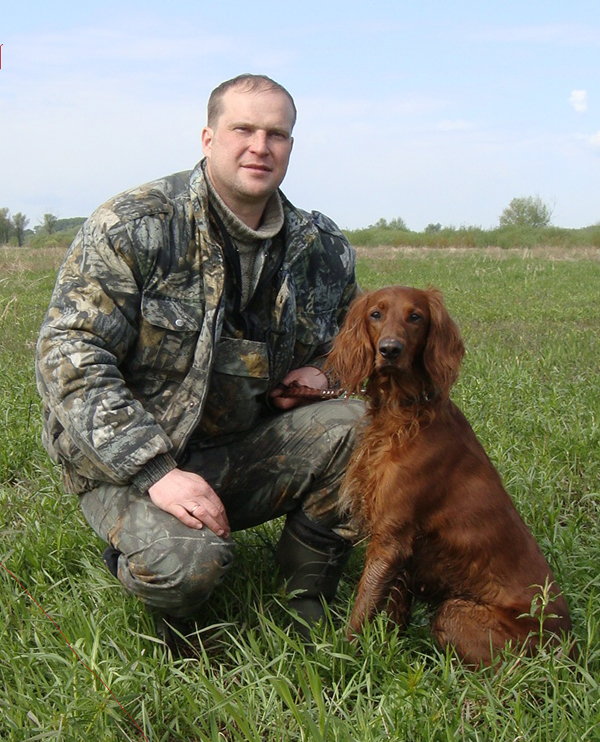 Ирландский сеттер, Адель, ID по базе HuntDogs.Ru: 43522